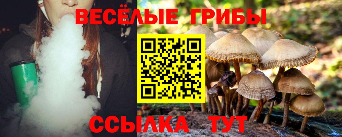 Галлюциногенные грибы Cubensis Дятьково