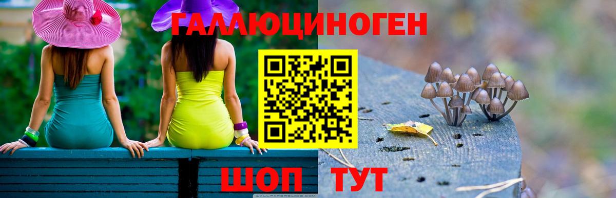 Дятьково  Галлюциногенные грибы Cubensis  Вход с VPN 